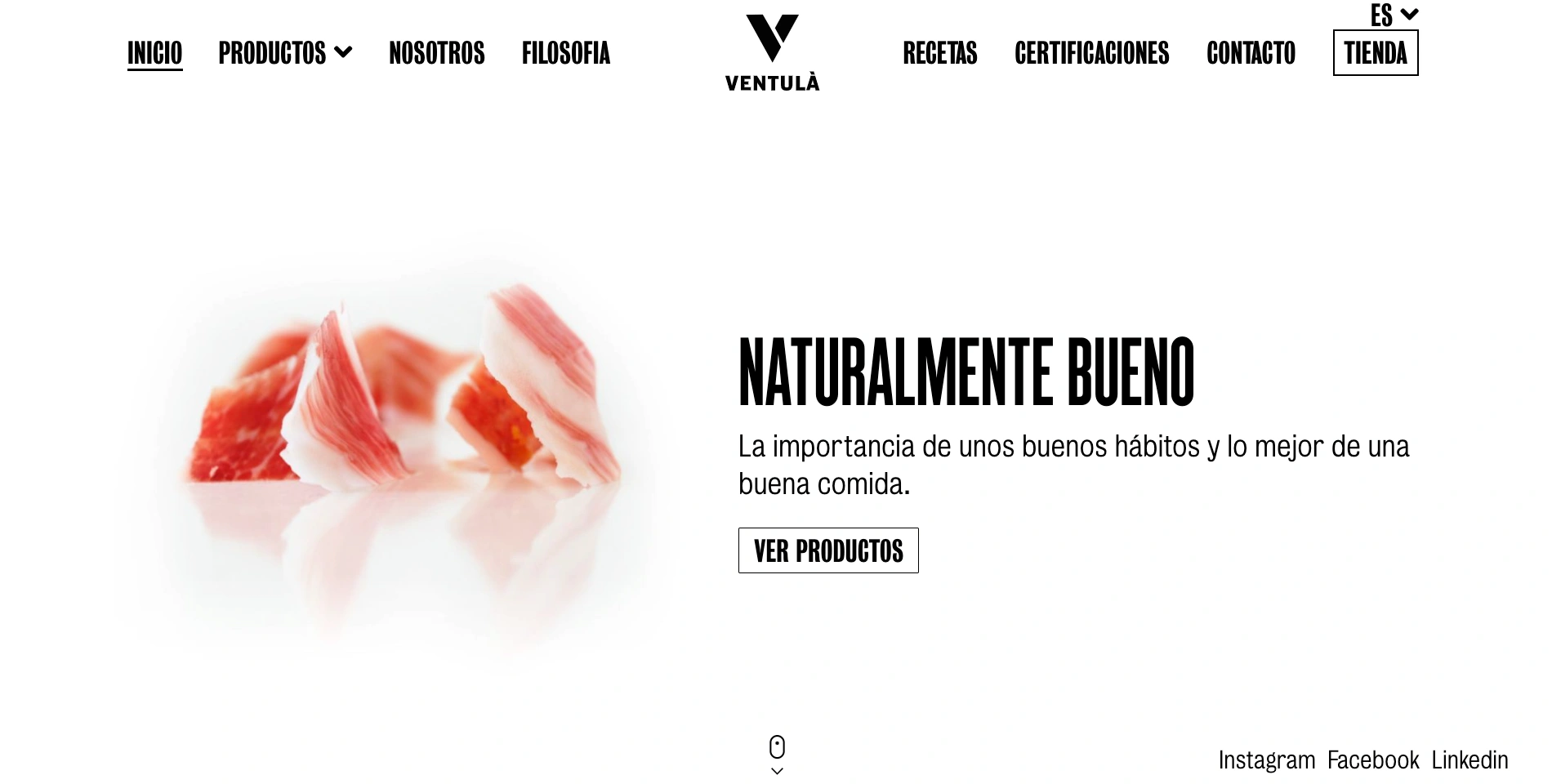 desarrollo web ecommerce multilingüe