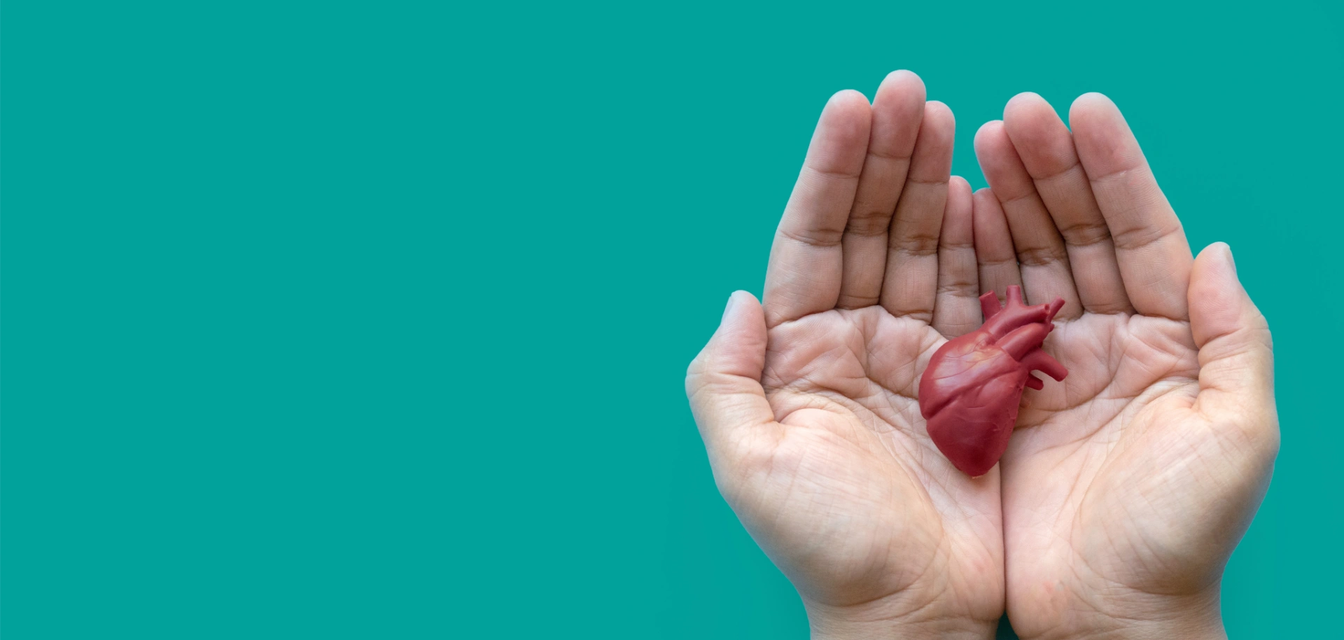 Web médica para cardiología intervencionista con contenidos clínicos organizados