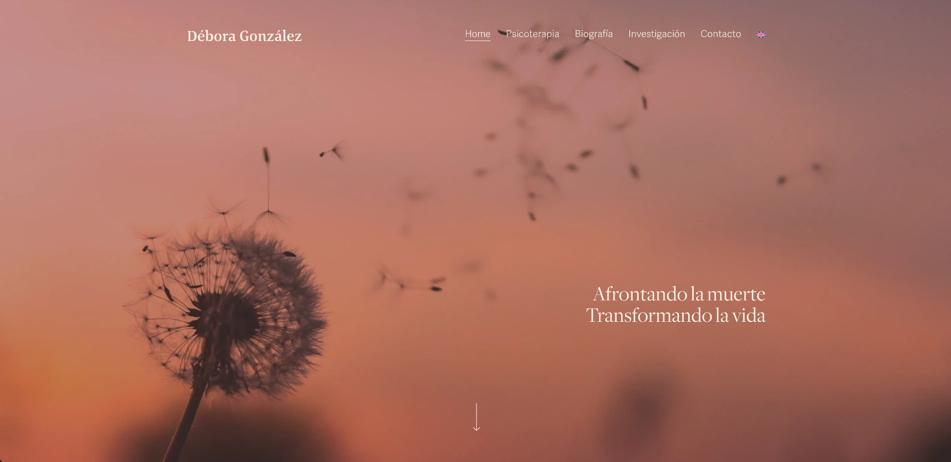 Diseño web para psicólogos con enfoque profesional y estructura clara